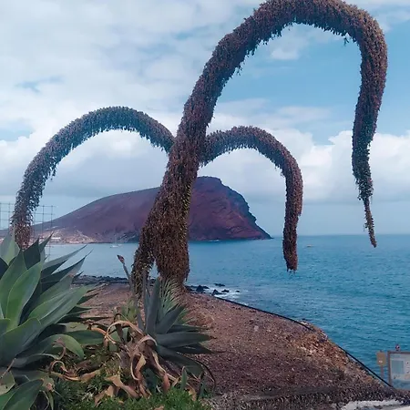 Apto Paraiso Beach شقة La Tejita